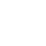 骚屄综合